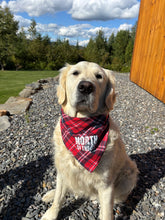 Load image into Gallery viewer, Plaid Pet Bandanas
