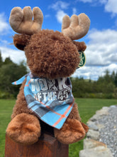 Load image into Gallery viewer, North of the 45th Stuffed Animals
