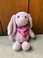 Load image into Gallery viewer, North of the 45th Stuffed Animals

