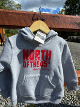 Load image into Gallery viewer, Toddler Pullover Hoodies

