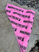 Load image into Gallery viewer, Dog Bandana
