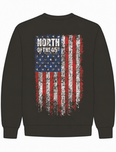 Load image into Gallery viewer, 250 Years Of Freedom Crewneck Sweatshirt
