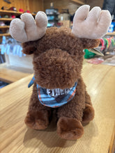 Load image into Gallery viewer, North of the 45th Stuffed Animals
