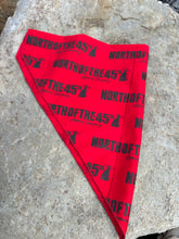Load image into Gallery viewer, Dog Bandana
