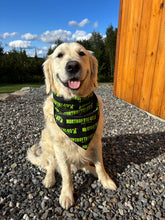 Load image into Gallery viewer, Dog Bandana
