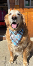 Load image into Gallery viewer, Plaid Pet Bandanas

