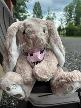 Load image into Gallery viewer, North of the 45th Stuffed Animals
