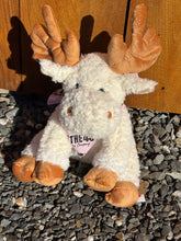 Load image into Gallery viewer, North of the 45th Stuffed Animals
