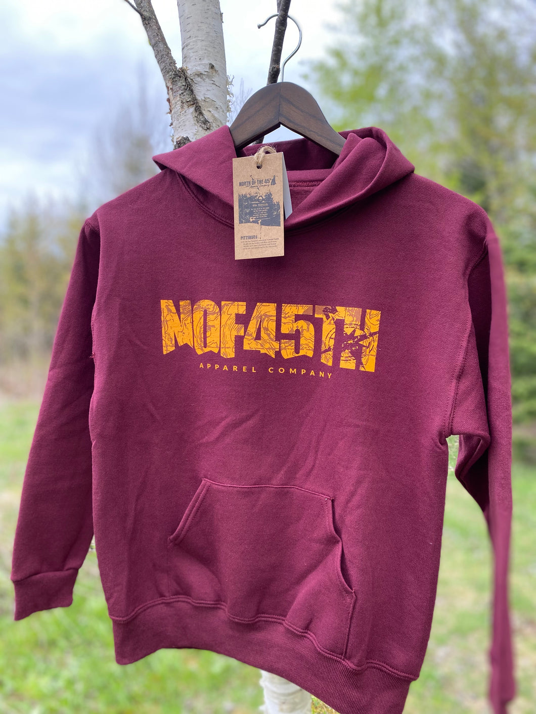 Youth Explore The North Hoodie